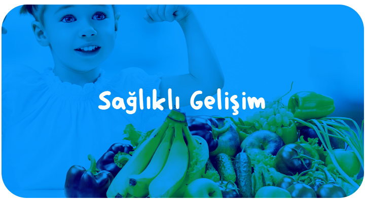Why choose Us?